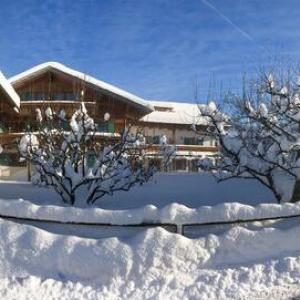 Verschneiter Obstgarten vor unserem Haus