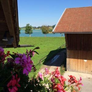 Ferienwohnung im 2. Stock (#12)