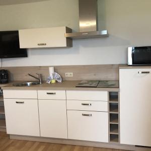 Kompakte Küche mit weißen Schränken und Dunstabzugshaube - Ferienwohnung (#16)