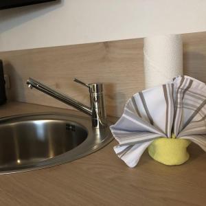 Spüle mit Wasserhahn, dekorativem Geschirrhandtuch und Serviette - Ferienwohnung (#16)