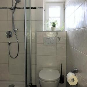 Badezimmer mit WC, Dusche und Fenster - Ferienwohnung (#16)