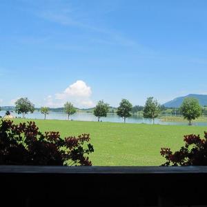 Blick vom Balkon auf eine grüne Wiese mit Bäumen und Bergen im Hintergrund - Ferienwohnung (#16)