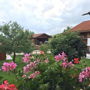 Ausblick aus dem Familienzimmer (#15)