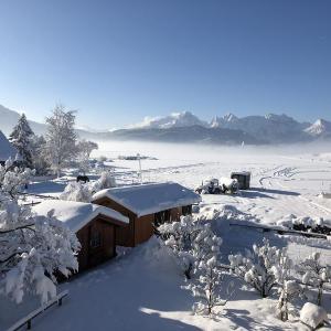 Blick zum Garten vom 2. Stock aus